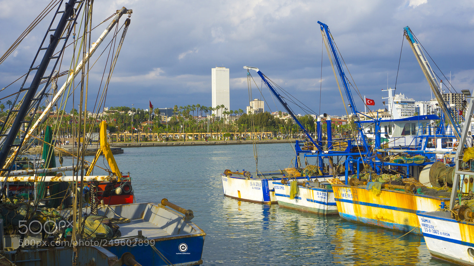 Sony a6000 sample photo. Mersin city - fish photography