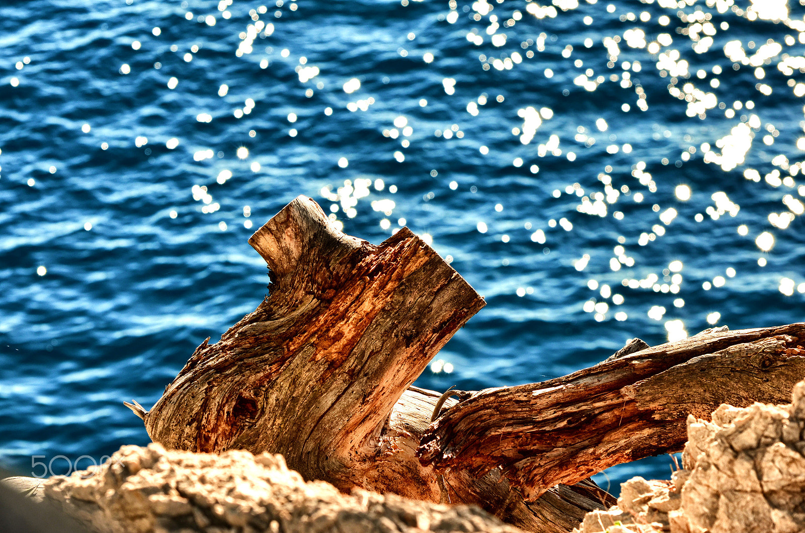 Nikon D7000 sample photo. Touch of sun photography