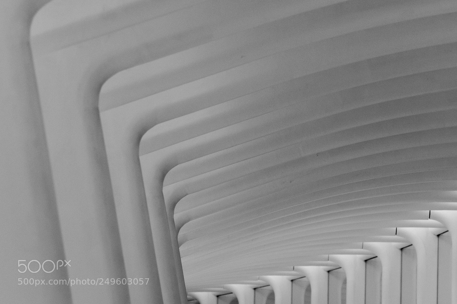 Nikon D90 sample photo. Oculus curves and shadows photography