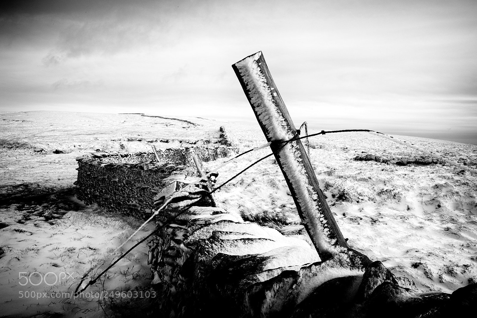 Fujifilm X-T1 sample photo. Drystone wall photography