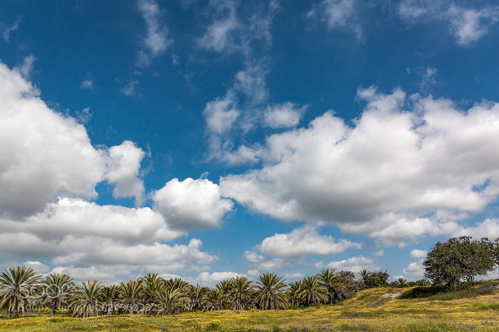 Canon EOS 70D sample photo. Sky photography