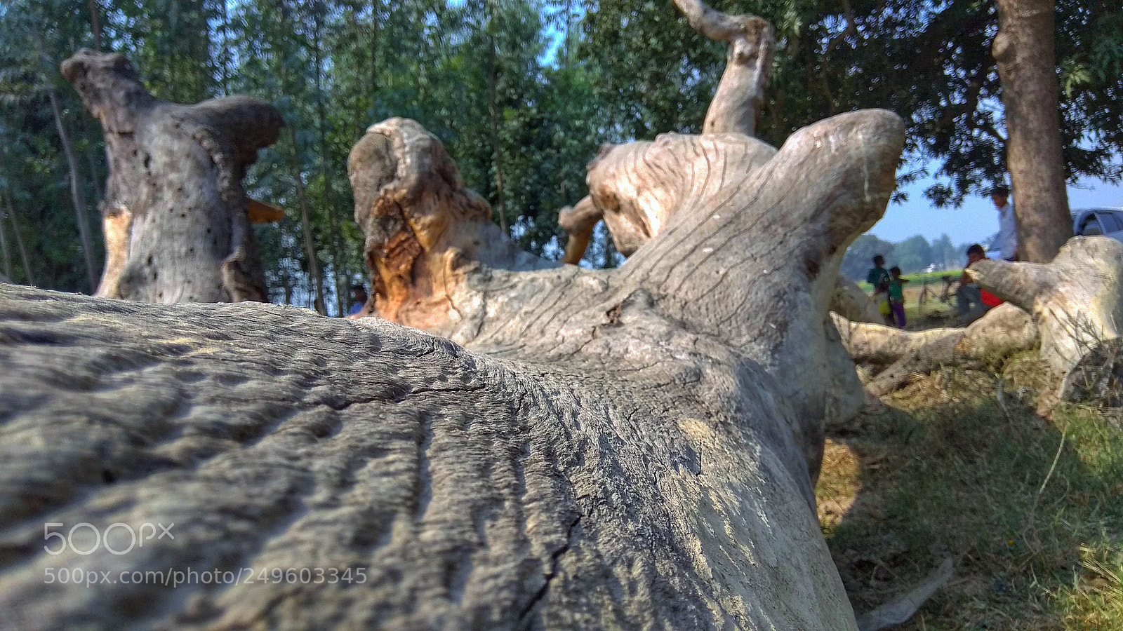 Xiaomi Redmi Note 4 sample photo. Untitled photography