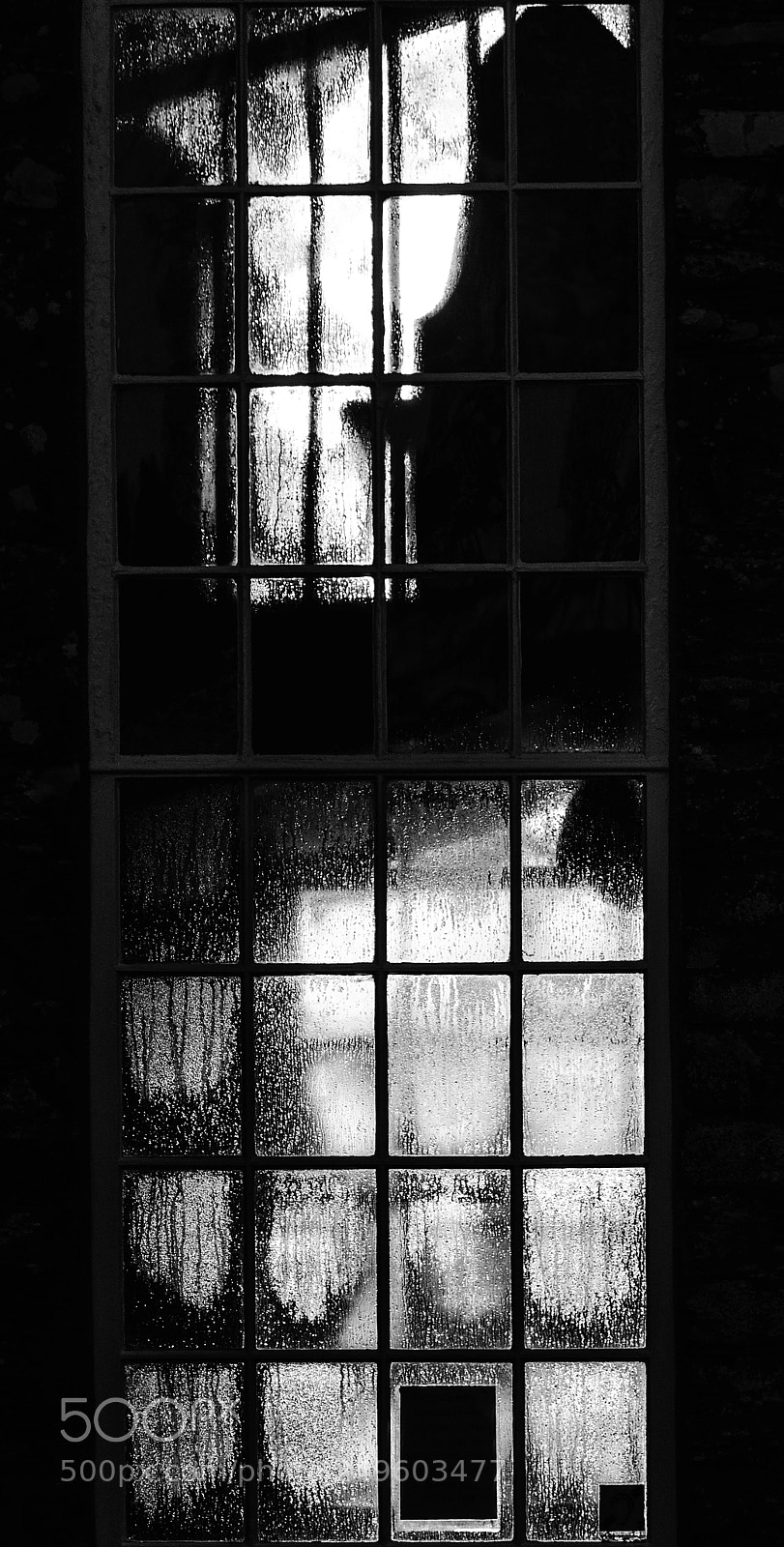 Nikon D90 sample photo. Through a glass photography