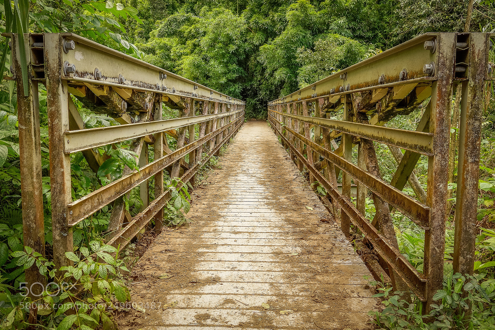 Sony Cyber-shot DSC-RX100 sample photo. Footbridge photography