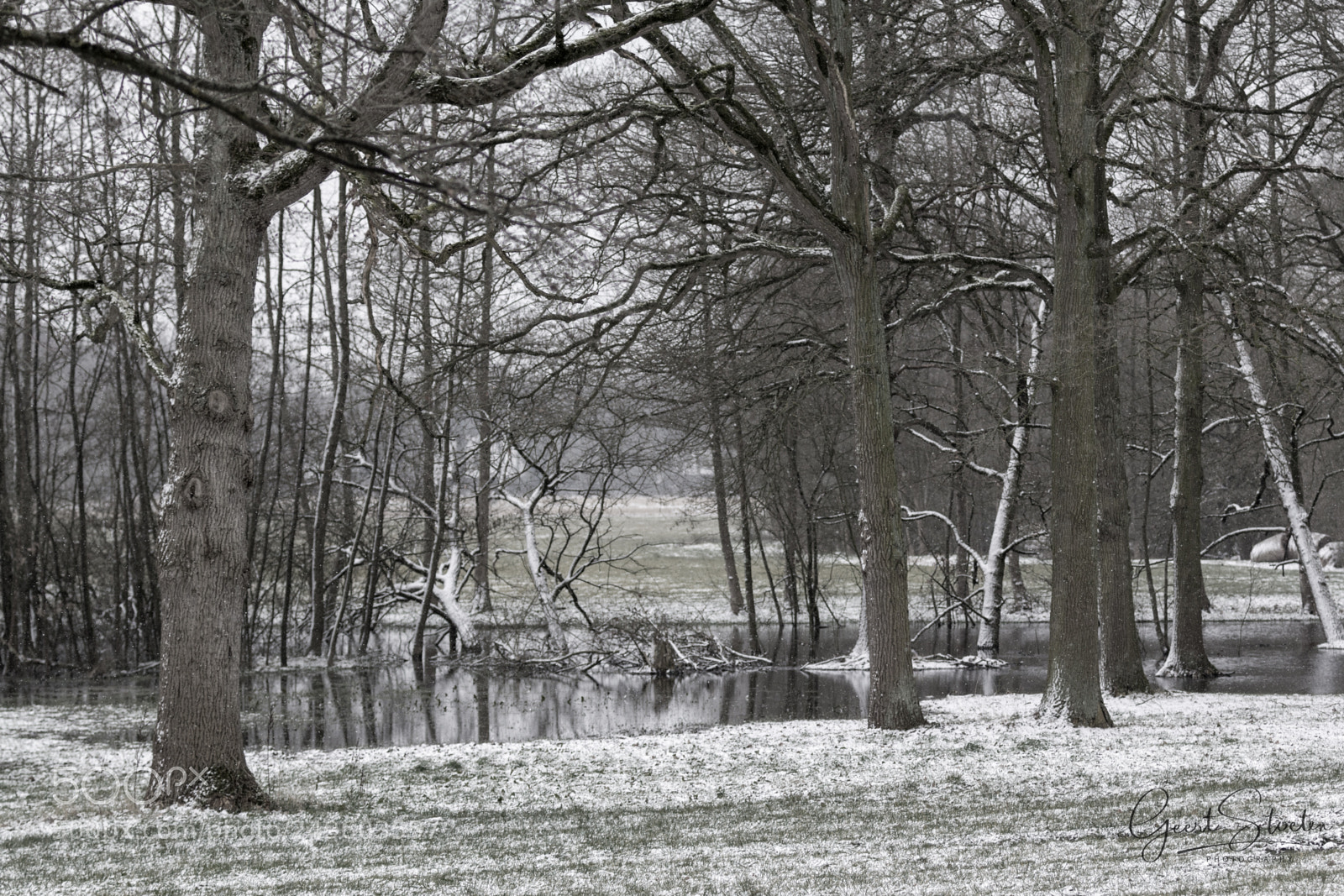 Canon EOS 60D sample photo. Winter time photography