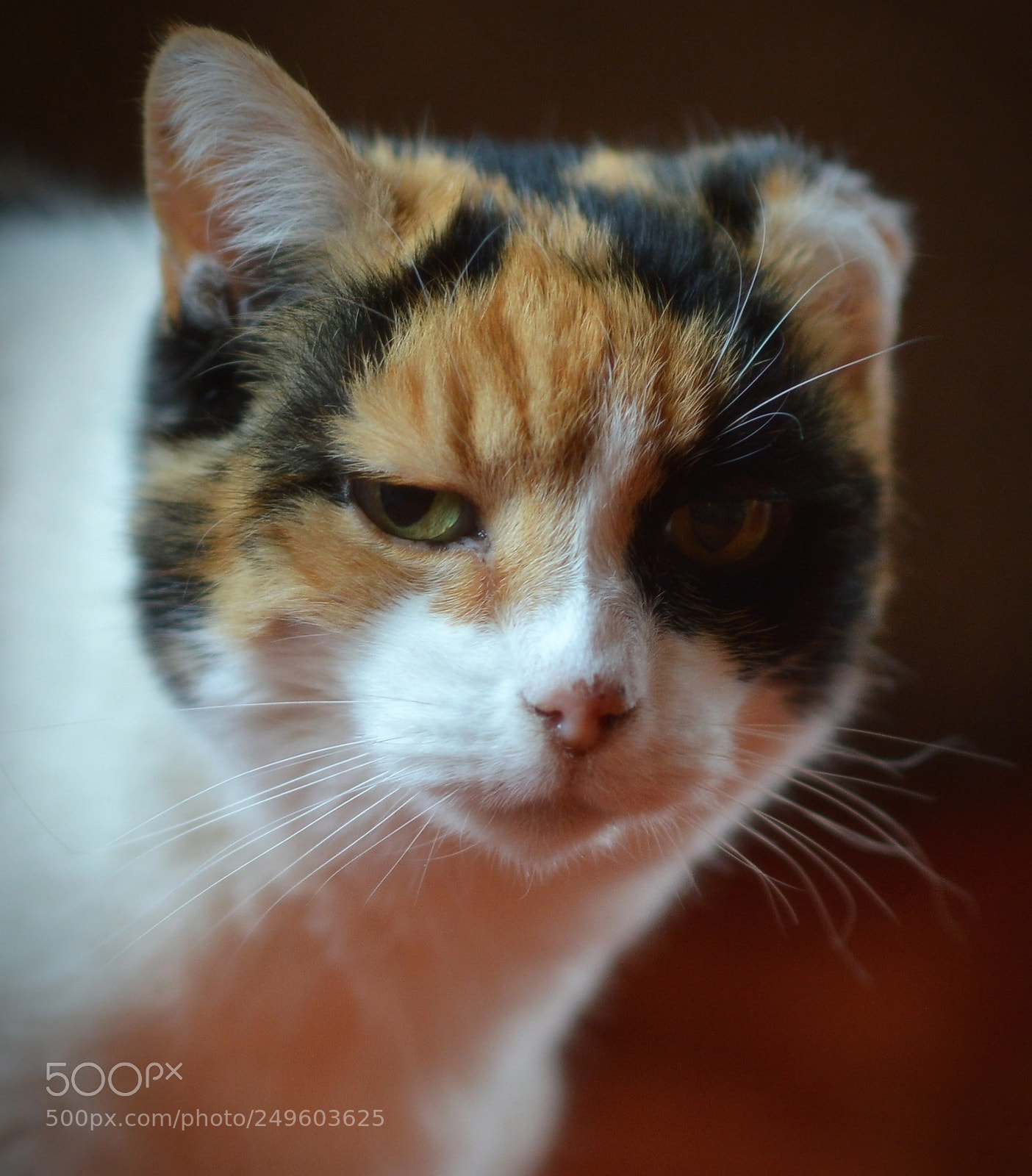 Nikon D3200 sample photo. Soft portrait photography