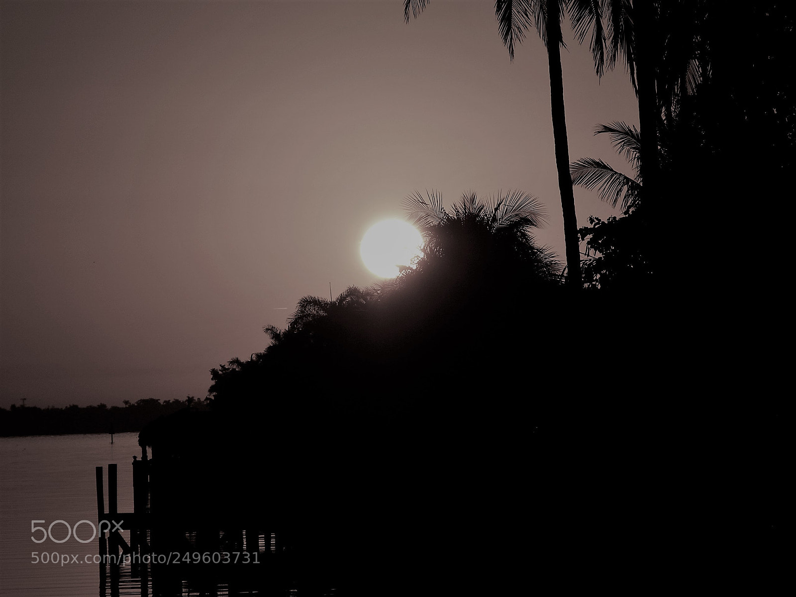 Olympus E-420 (EVOLT E-420) sample photo. Bw sunrise photography
