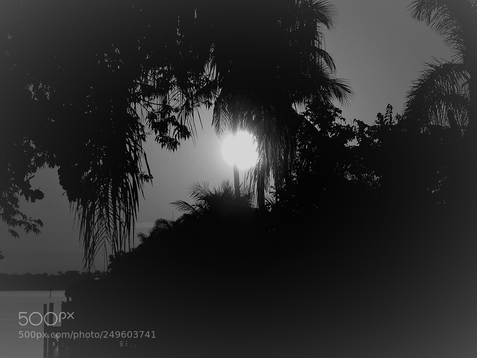Olympus E-420 (EVOLT E-420) sample photo. Black and white sunrise photography
