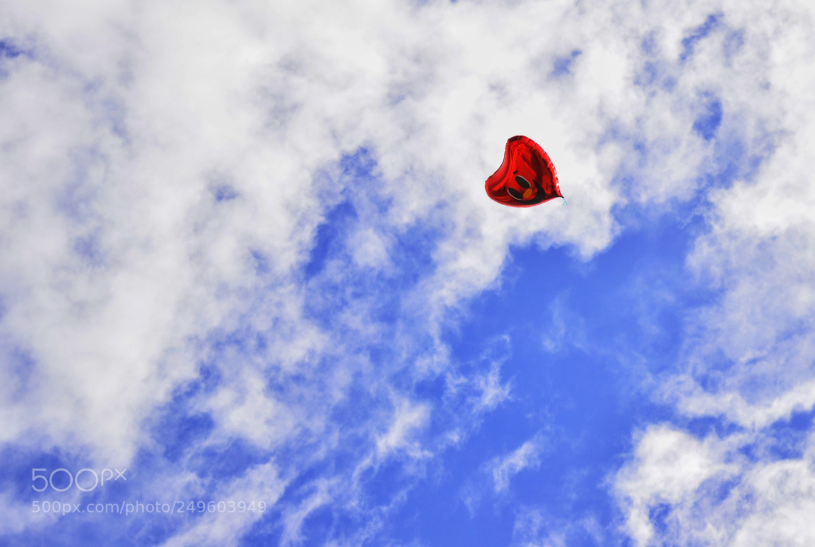 Nikon D5100 sample photo. Love is in the photography