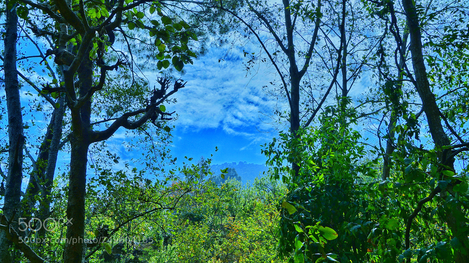 Sony SLT-A58 sample photo. Untitled photography