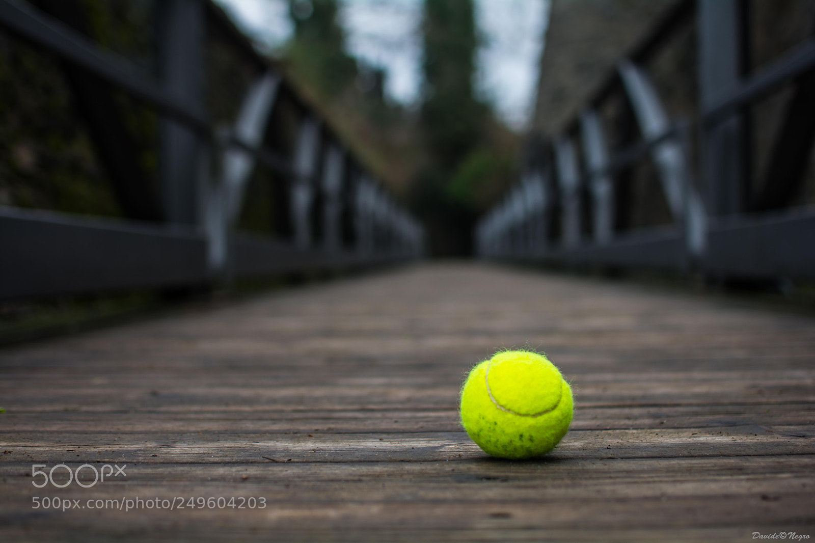 Nikon D7100 sample photo. Tennis ball photography