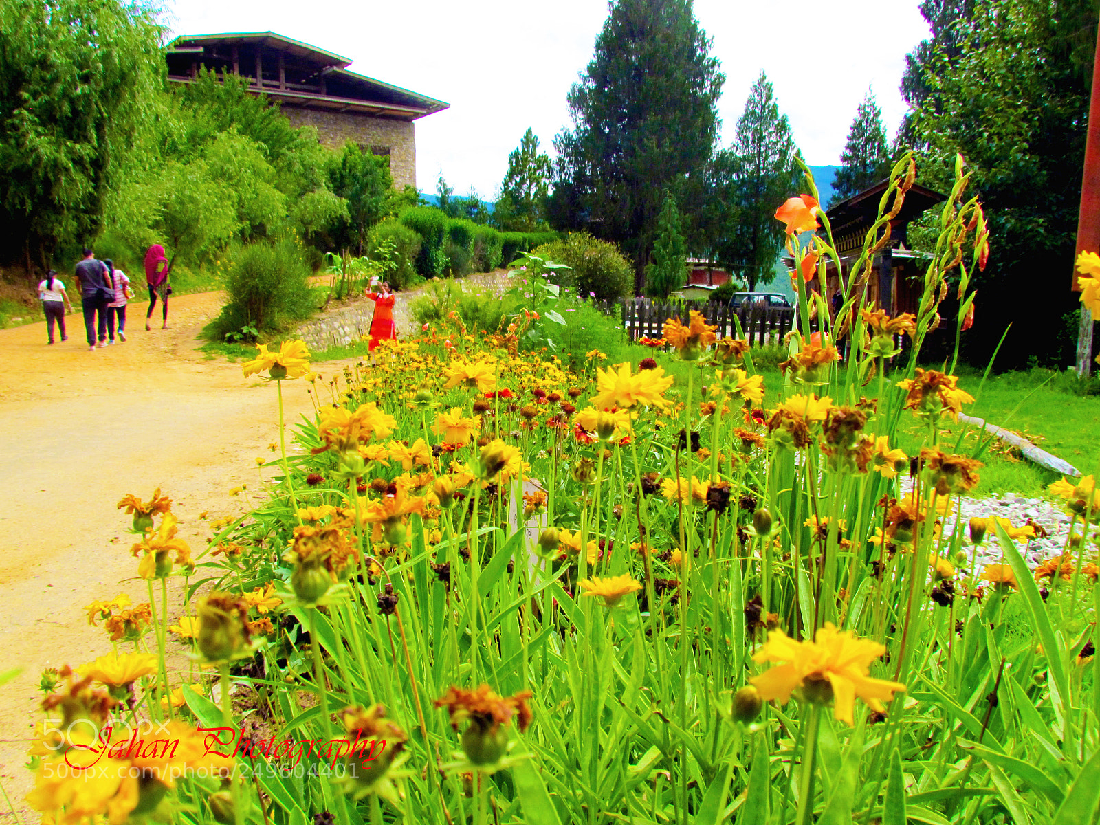 Canon PowerShot SX30 IS sample photo. Untitled photography