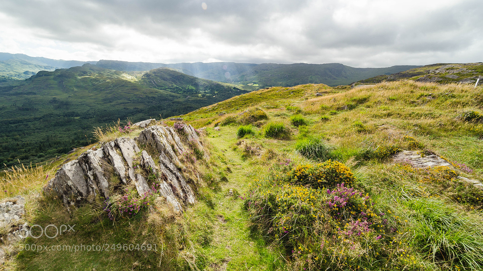 Nikon D7000 sample photo. Irish hike photography