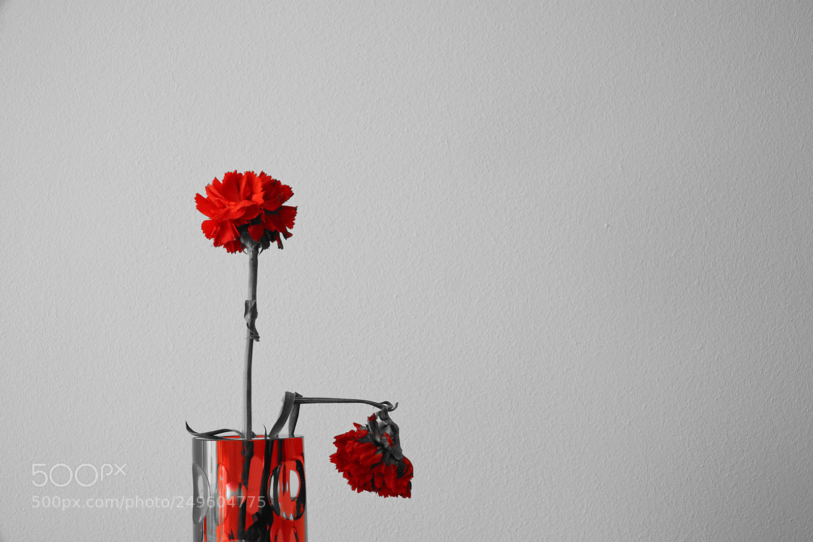 Sony a6000 sample photo. Broken flower(s). photography