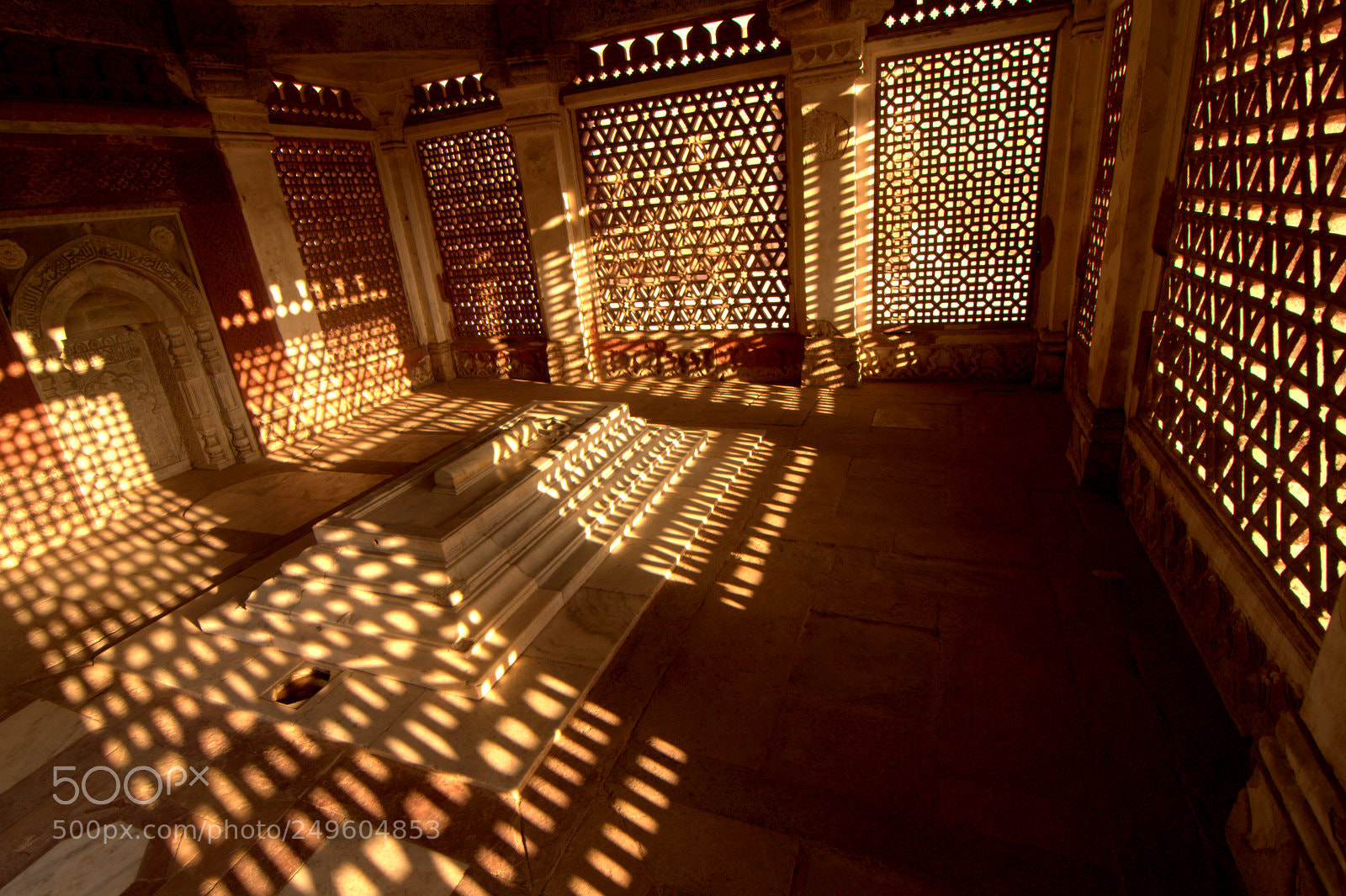 Nikon D90 sample photo. Carpet of gold photography