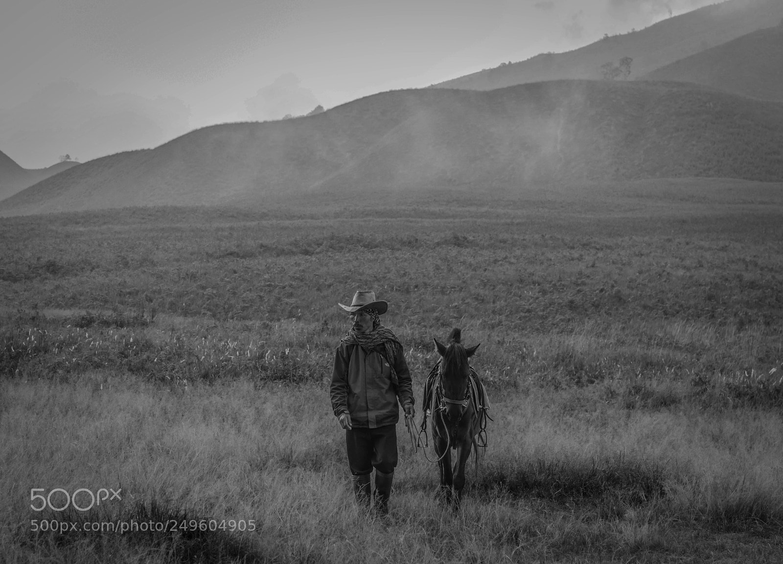 Nikon D810 sample photo. Untitled photography