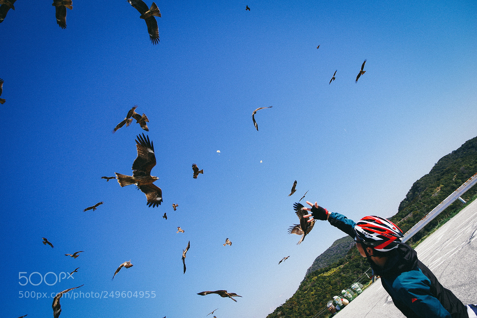 Pentax K-30 sample photo. Catch!! photography