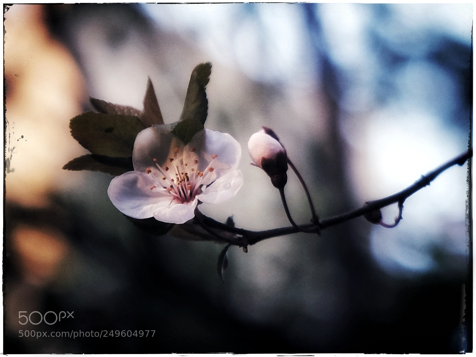 Fujifilm X-T20 sample photo. Untitled photography