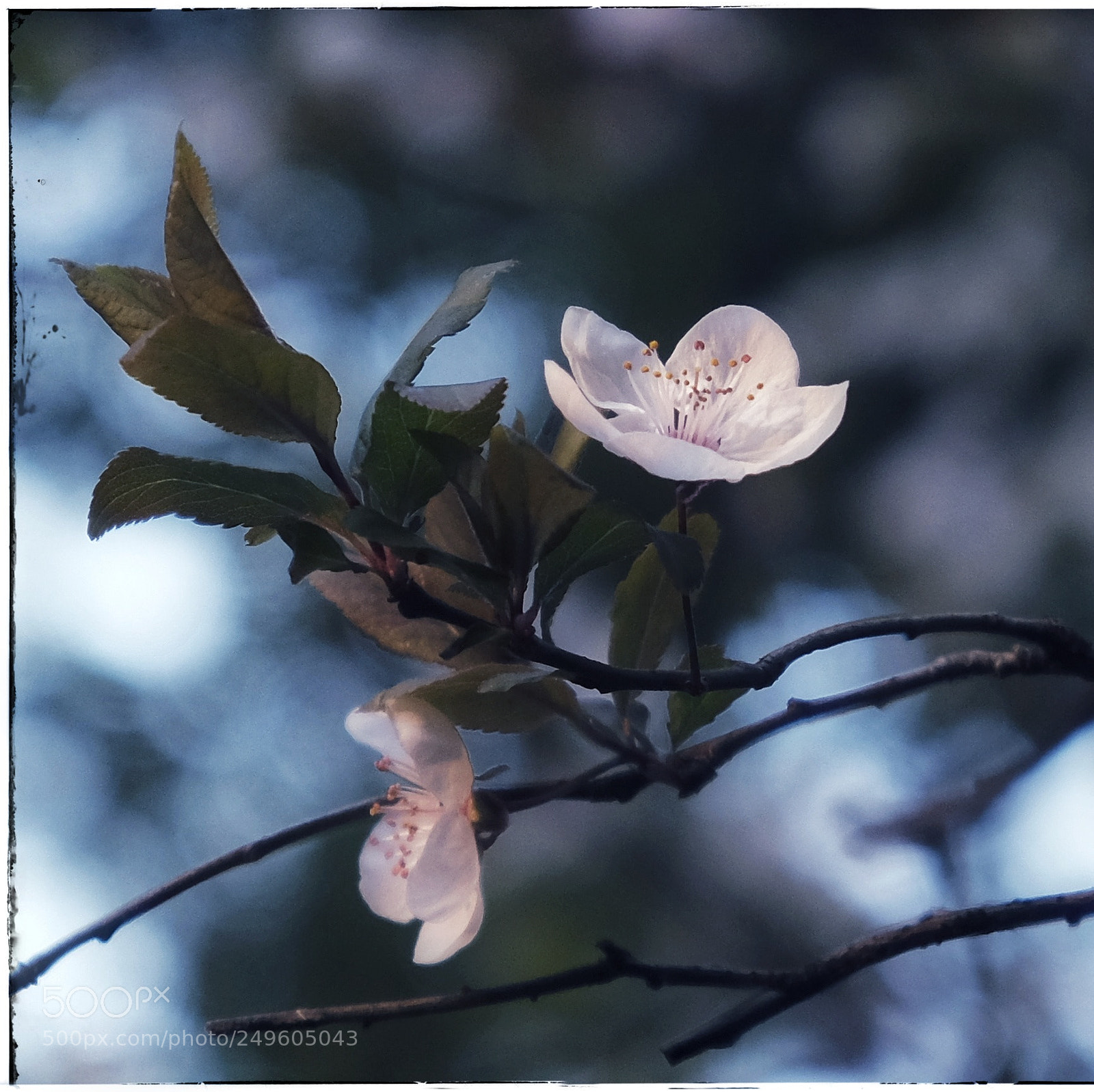 Fujifilm X-T20 sample photo. 3* photography