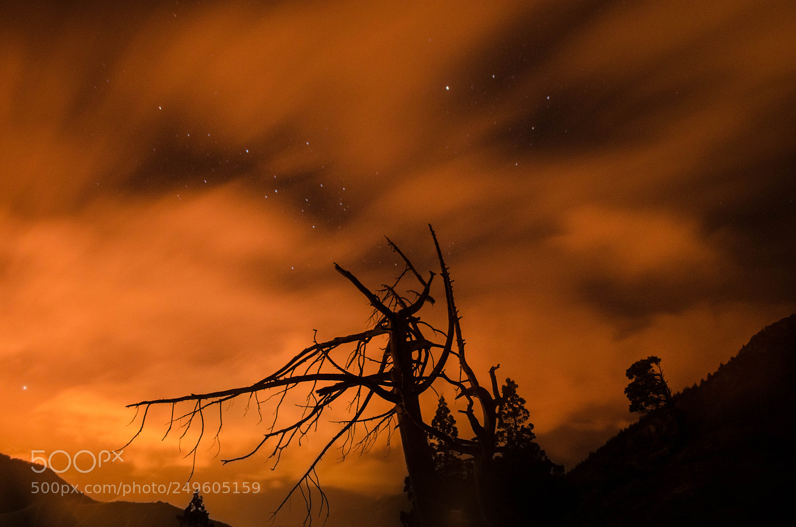 Nikon D5100 sample photo. Buscando estrellas photography