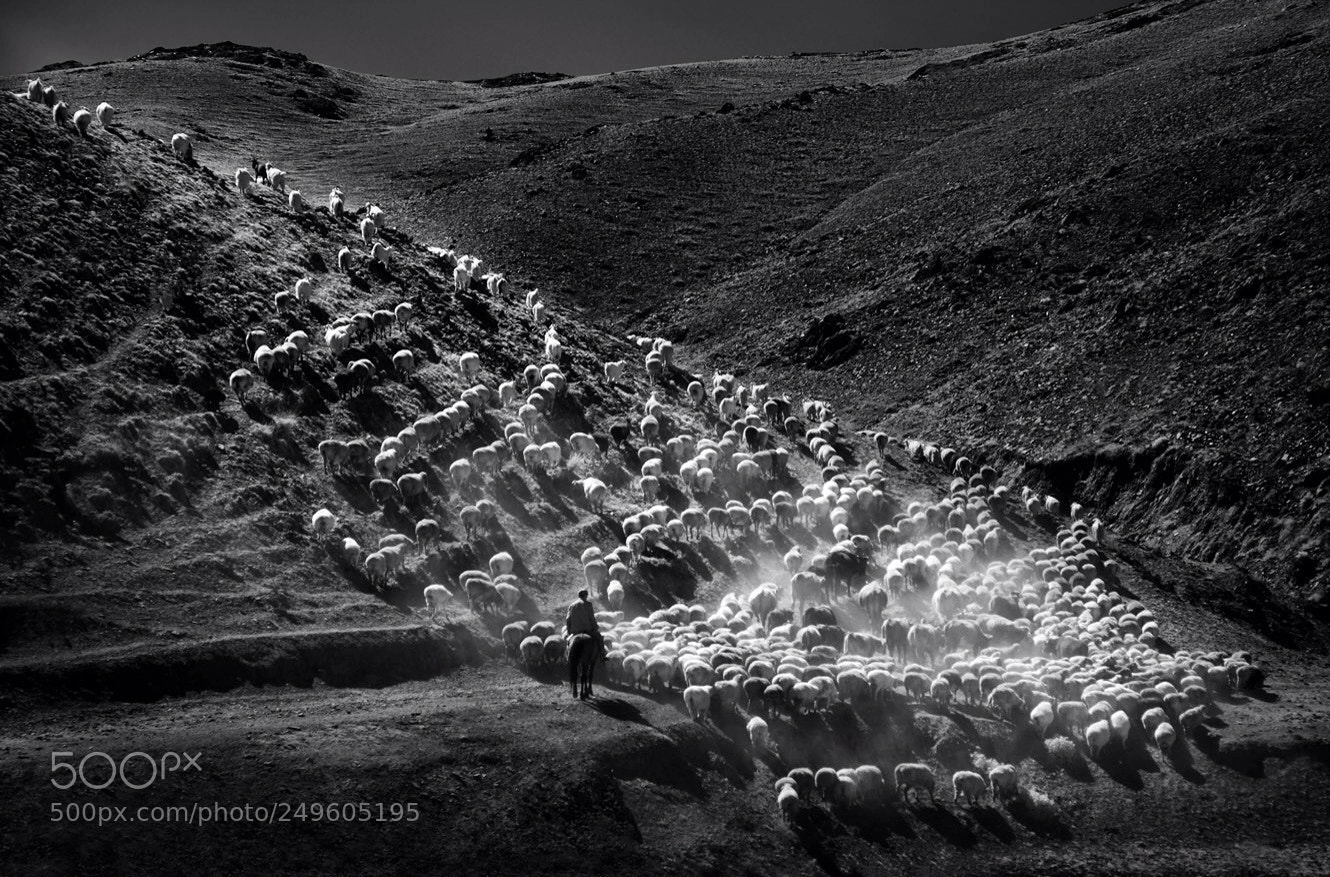 Canon EOS 5D sample photo. Xinjiang china photography