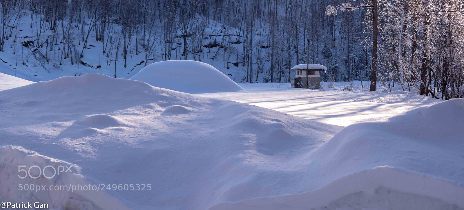 Olympus OM-D E-M5 II sample photo. Road 966 in biei hokkaido photography