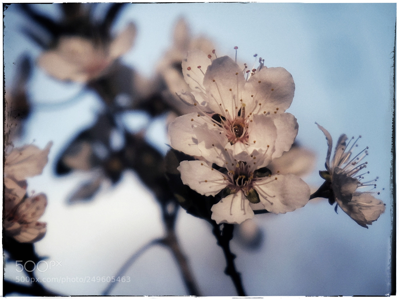 Fujifilm X-T20 sample photo. 4* photography