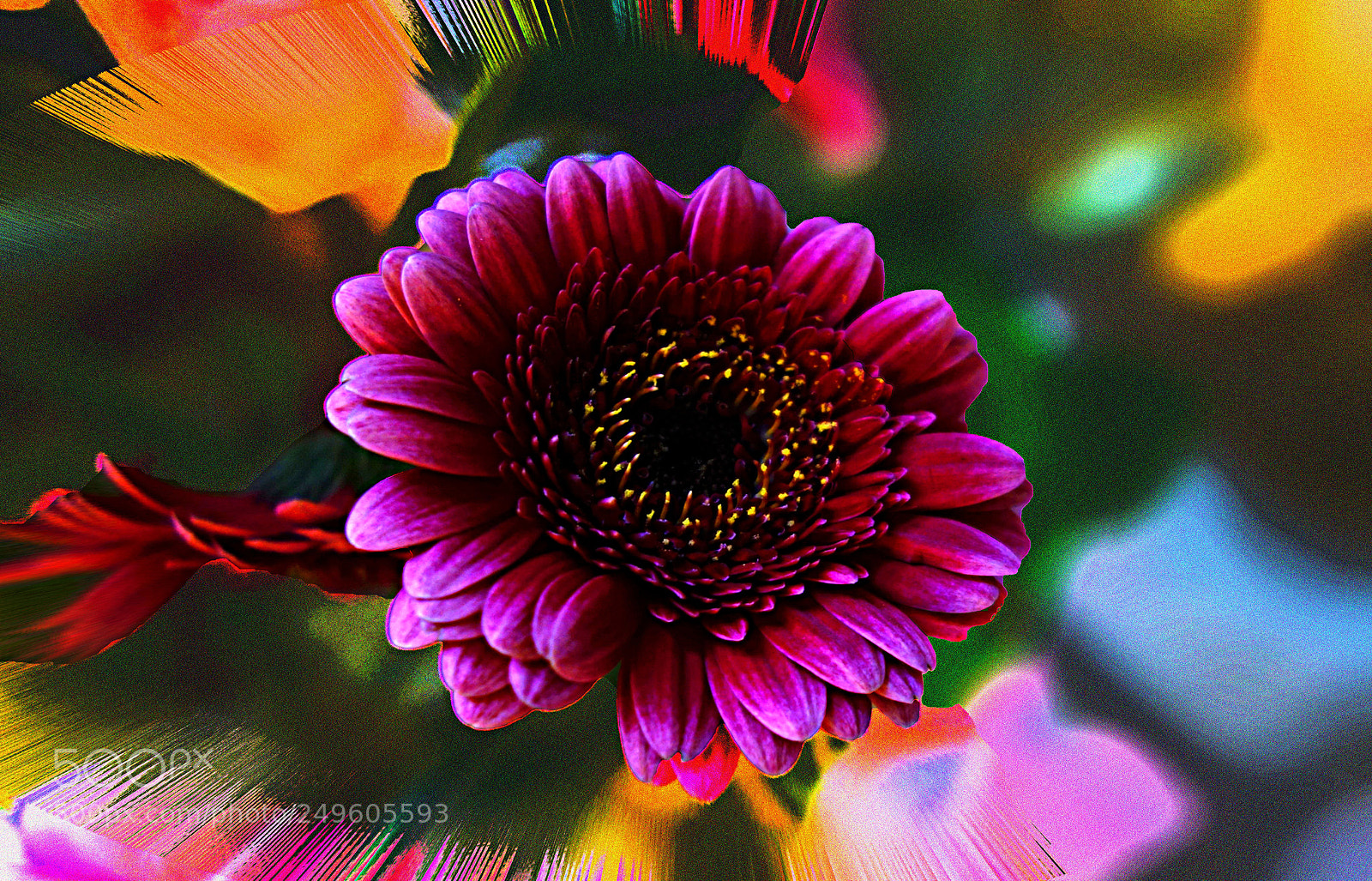 Sony Cyber-shot DSC-RX100 sample photo. Fiore photography