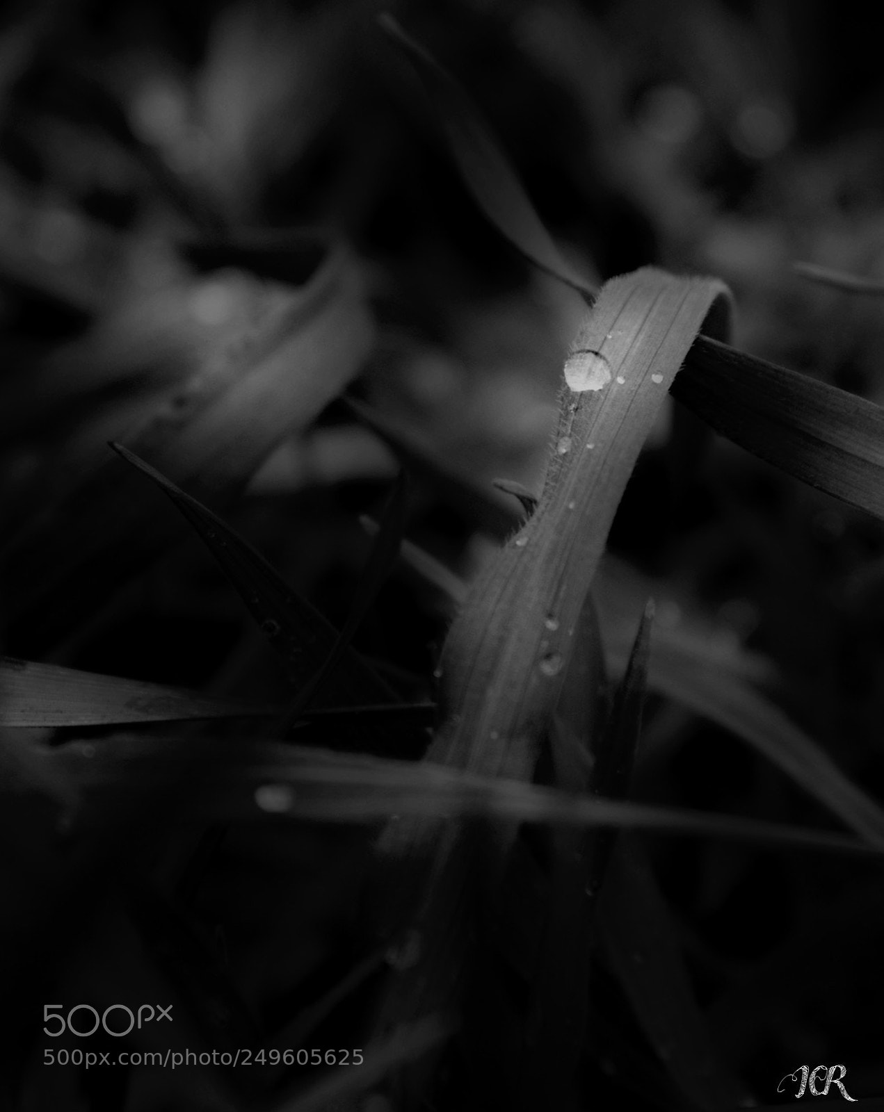 Nikon D5200 sample photo. Gota photography