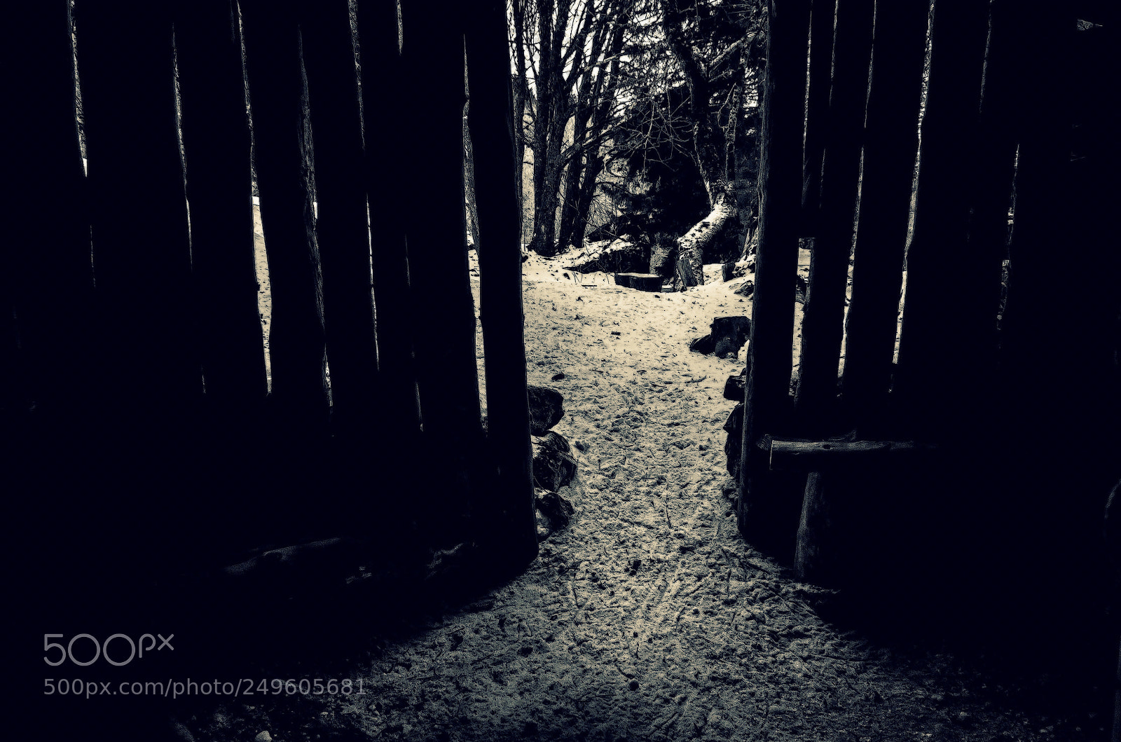 Pentax K-50 sample photo. Qui veut aller chercher photography