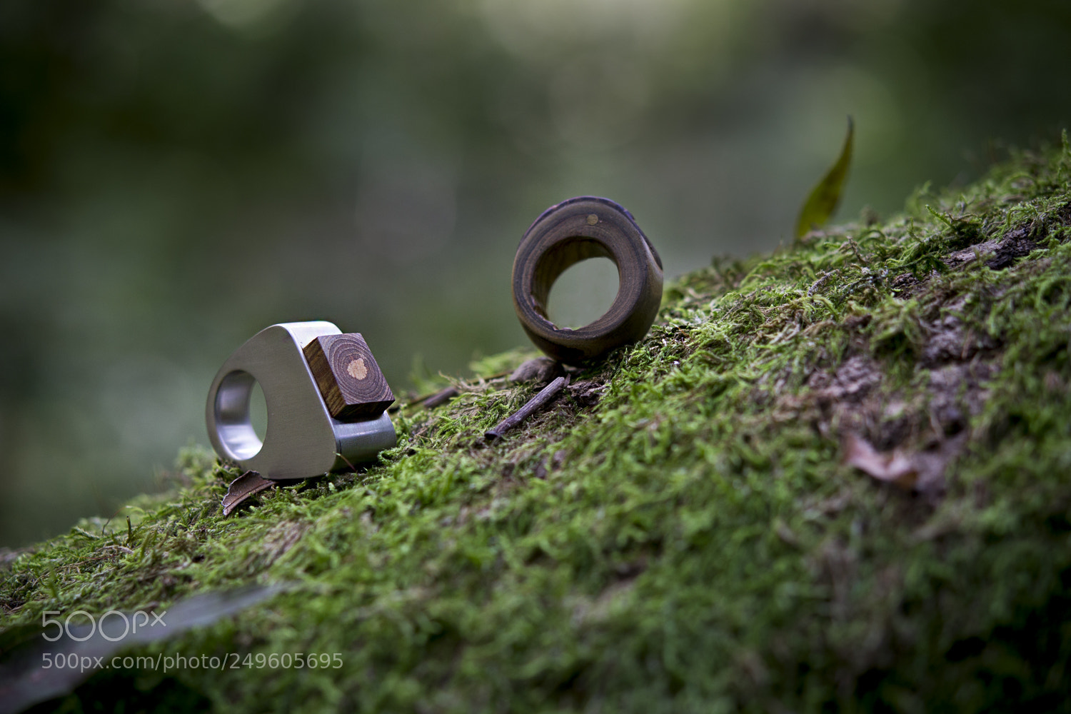 Nikon D3100 sample photo. Jewels by the artist photography