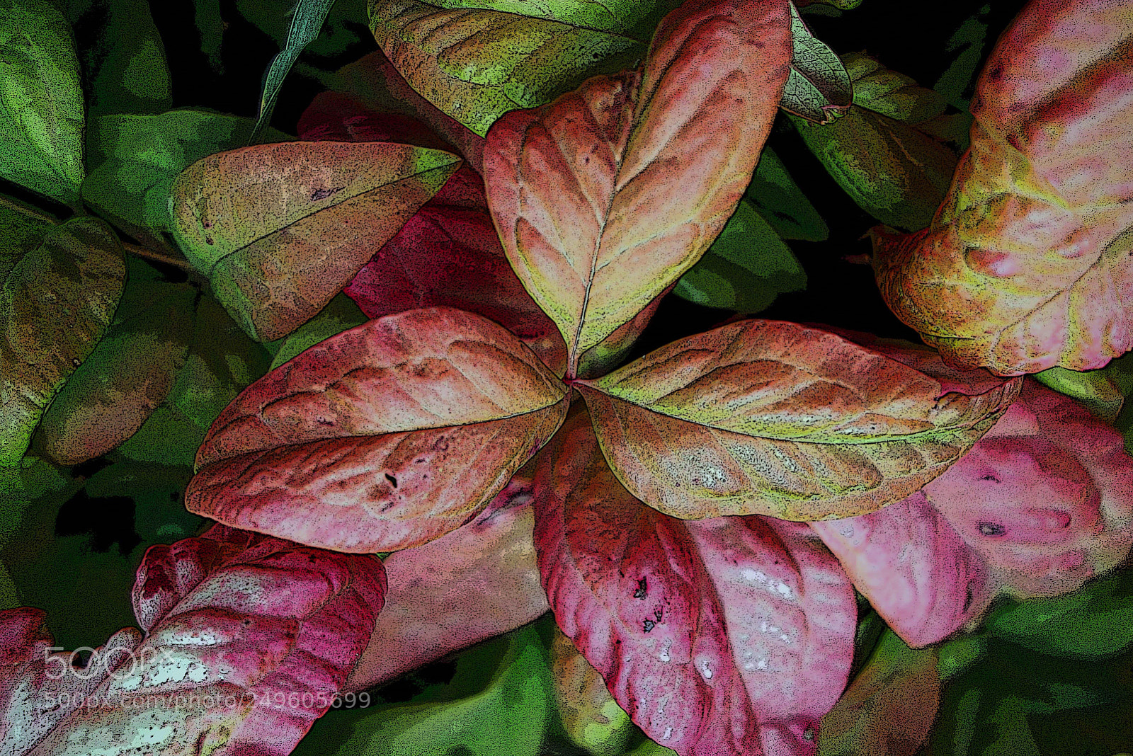 Sony Cyber-shot DSC-RX100 sample photo. Foglie photography