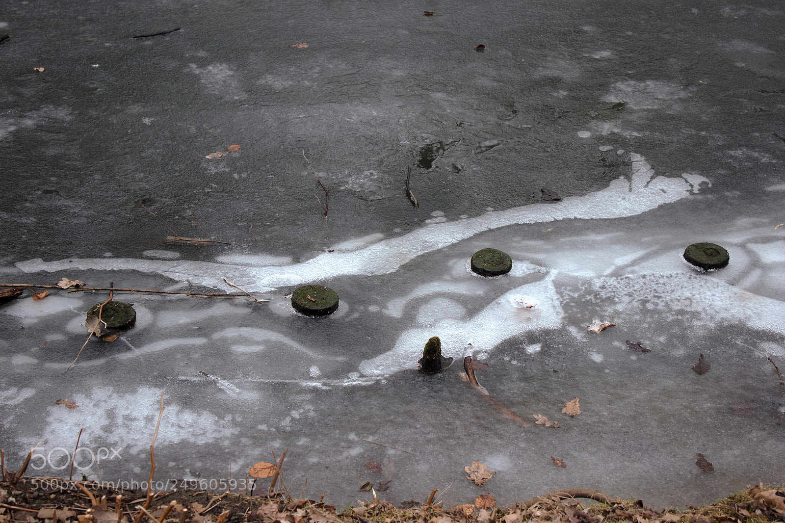 Canon EOS 600D (Rebel EOS T3i / EOS Kiss X5) sample photo. Winter in tiergarten photography