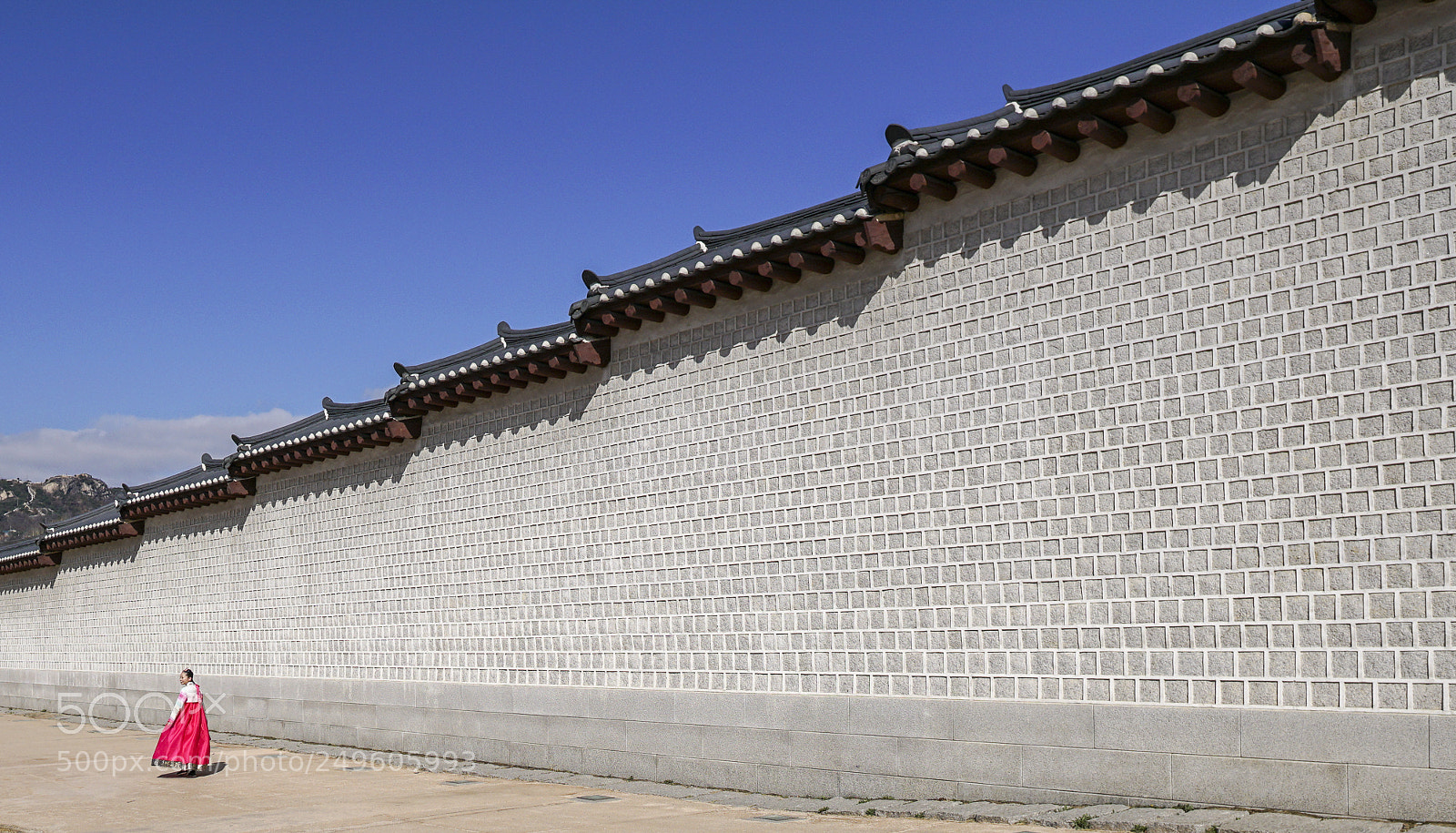 Sony a7R II sample photo. Wall photography