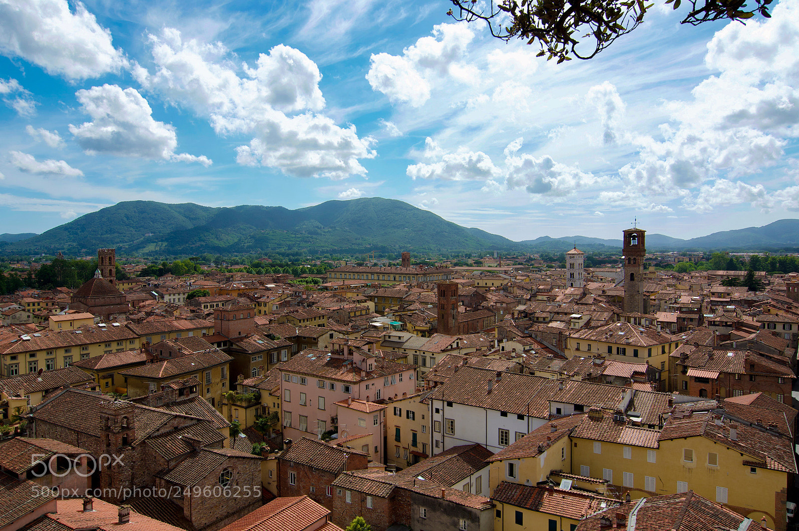 Nikon D90 sample photo. Torre guinigi lucca photography