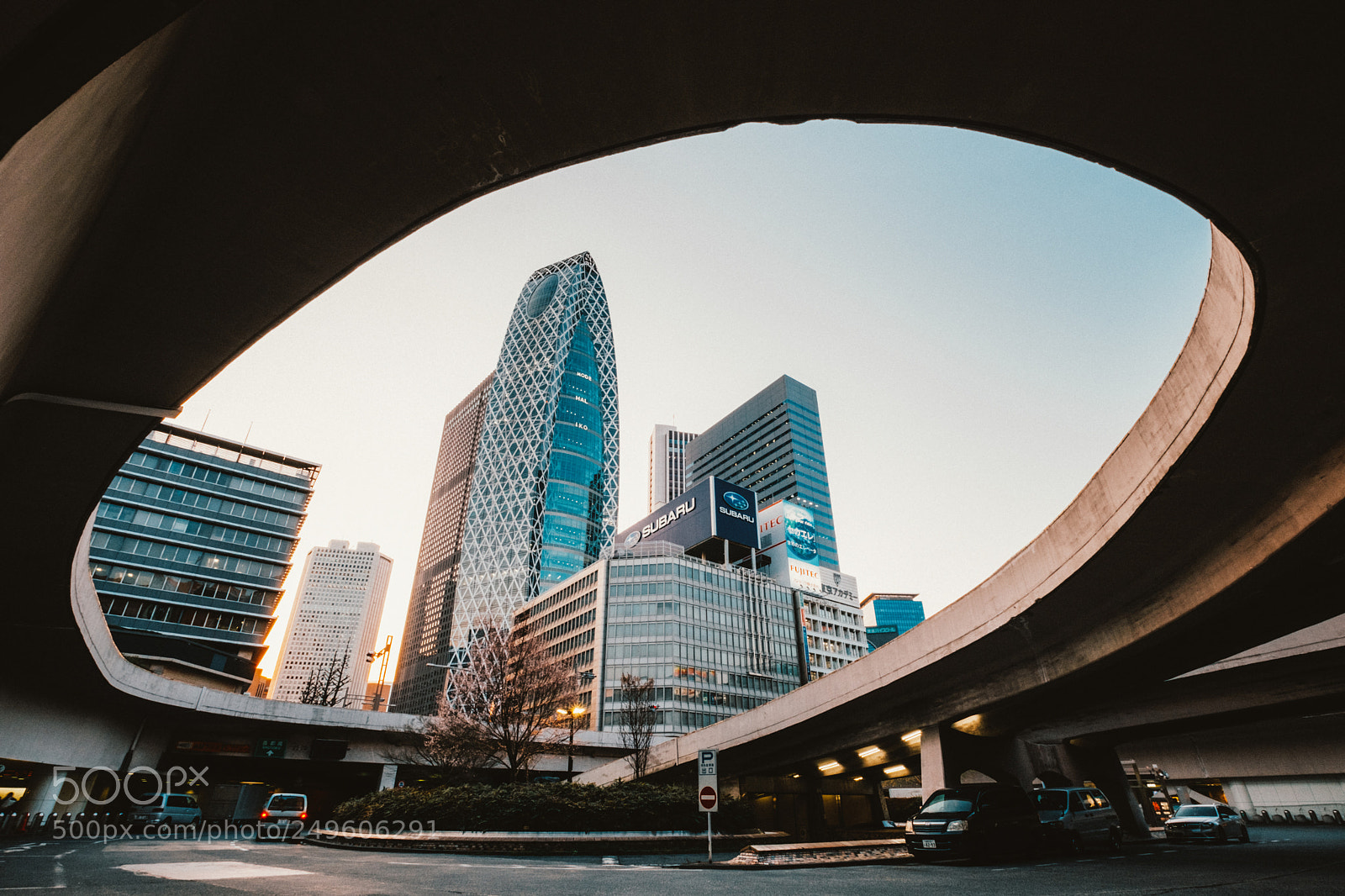 Fujifilm X-H1 sample photo. Oval photography