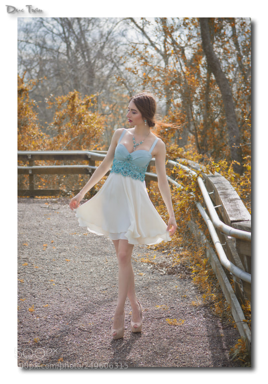 Canon EOS-1D Mark IV sample photo. Copy photography