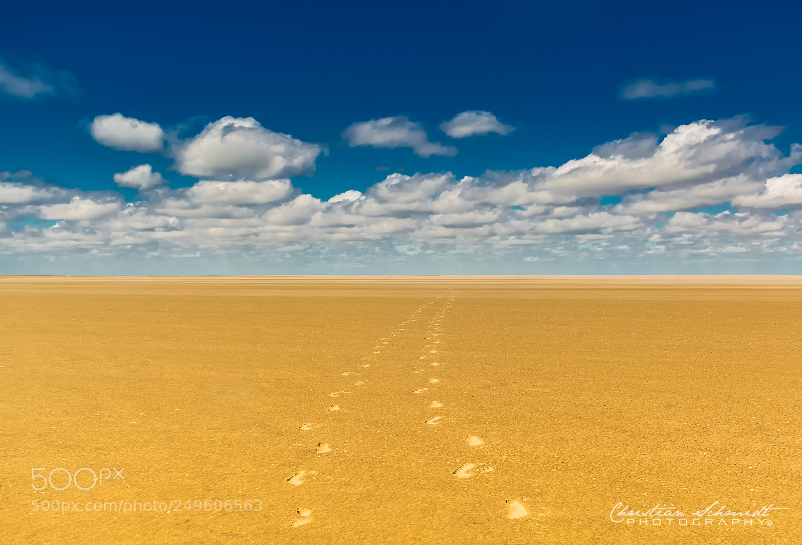 Nikon D7100 sample photo. The path to nowhere photography