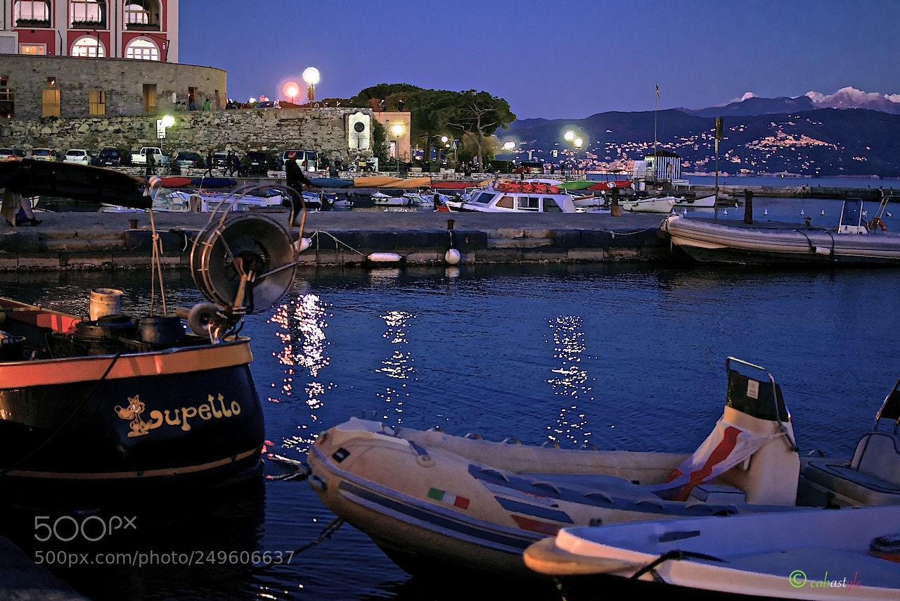 Nikon D5100 sample photo. Riflessi al porto photography