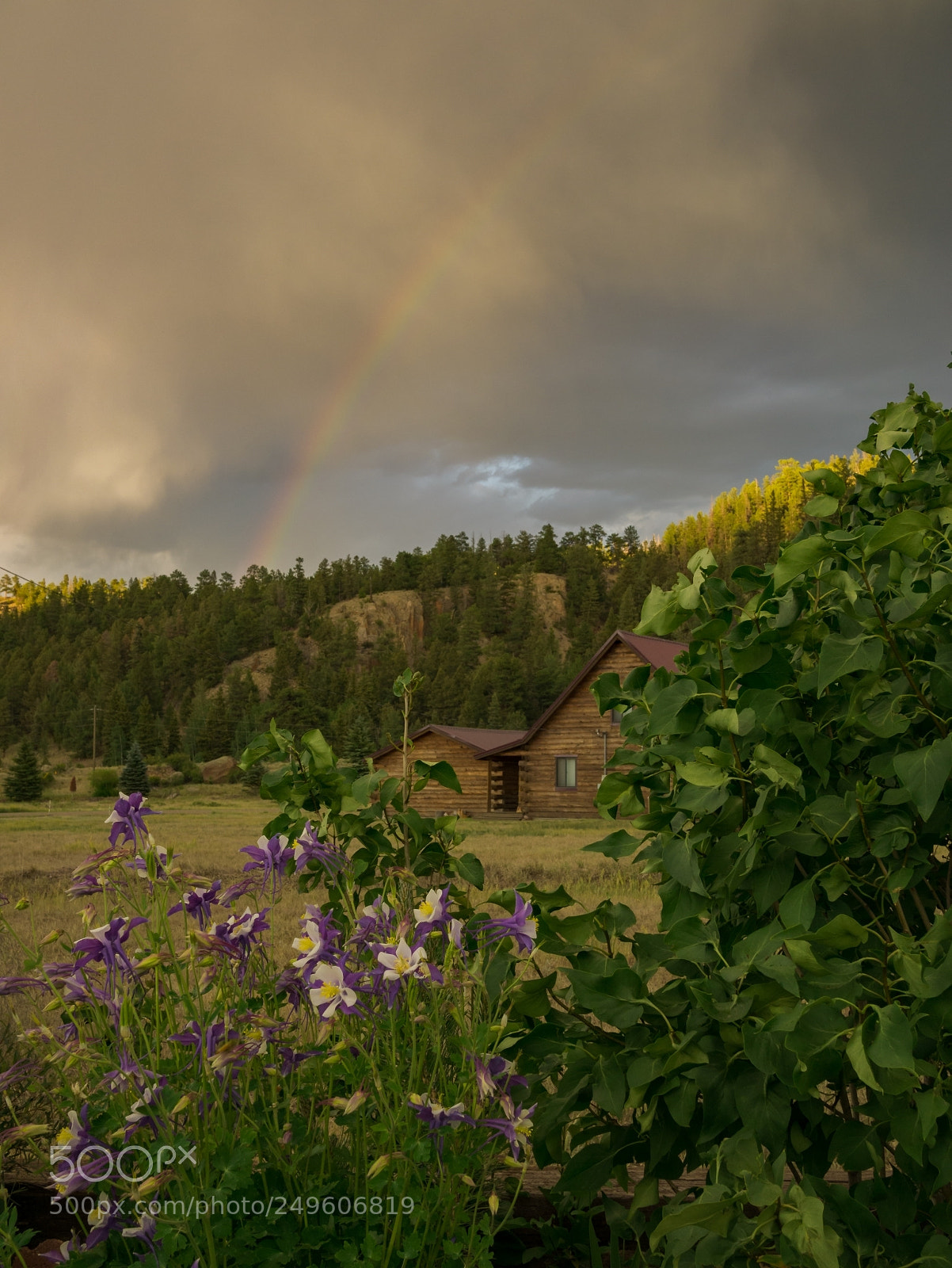 Panasonic Lumix DMC-G85 (Lumix DMC-G80) sample photo. Rainbow over south fork photography