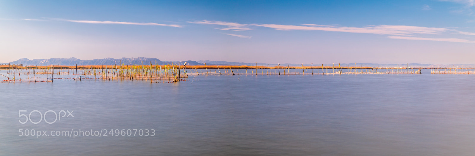 Canon EOS 5D Mark IV sample photo. Albufera lake panorama photography