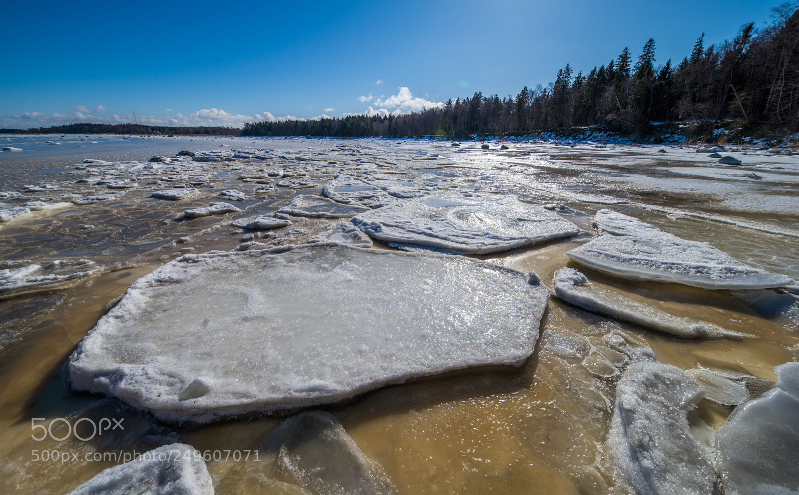 Nikon D610 sample photo. Winter is over soon! photography