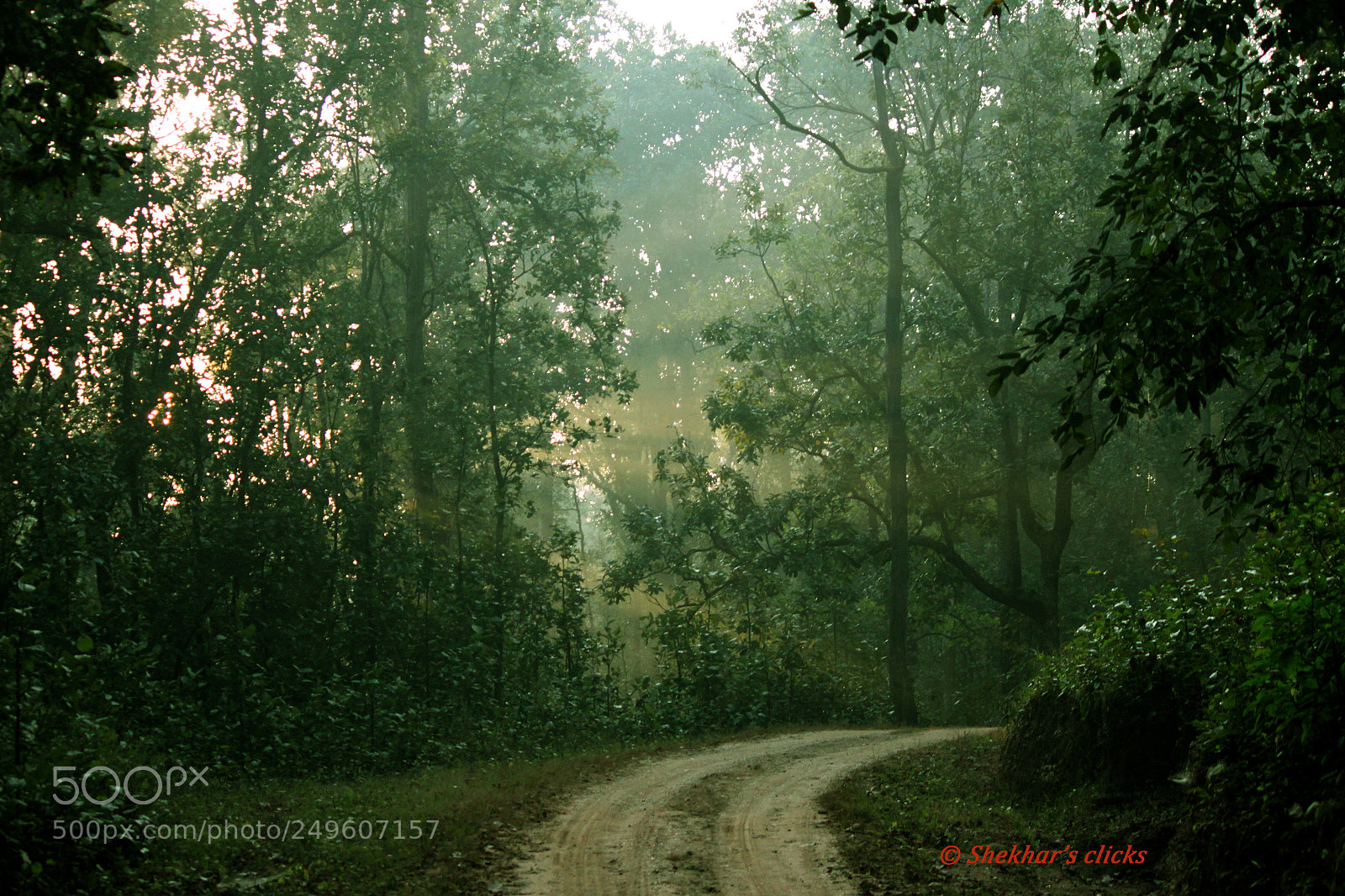 Canon EOS 500D (EOS Rebel T1i / EOS Kiss X3) sample photo. Mystical morning photography
