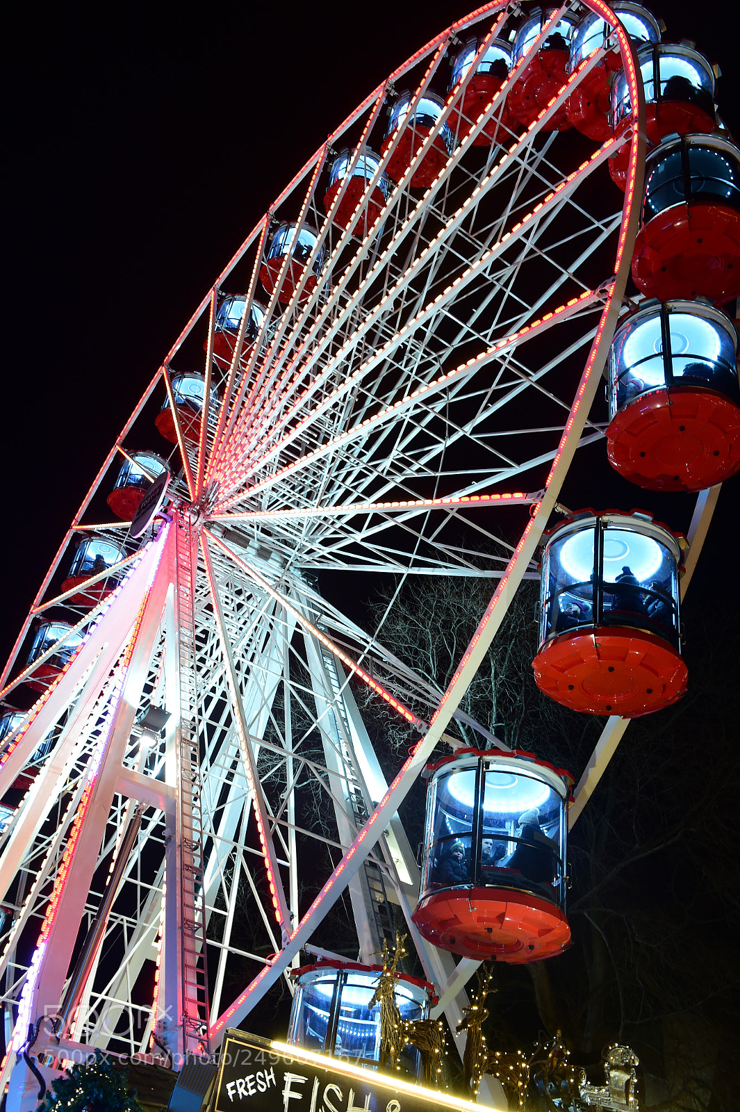 Nikon D4S sample photo. Ferris wheel photography