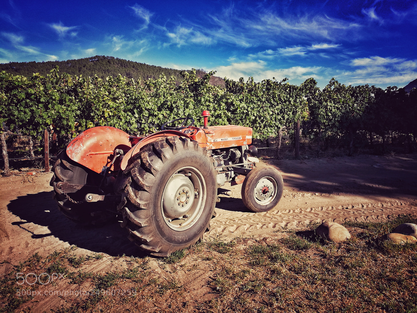 HUAWEI P9 sample photo. Harvest season photography