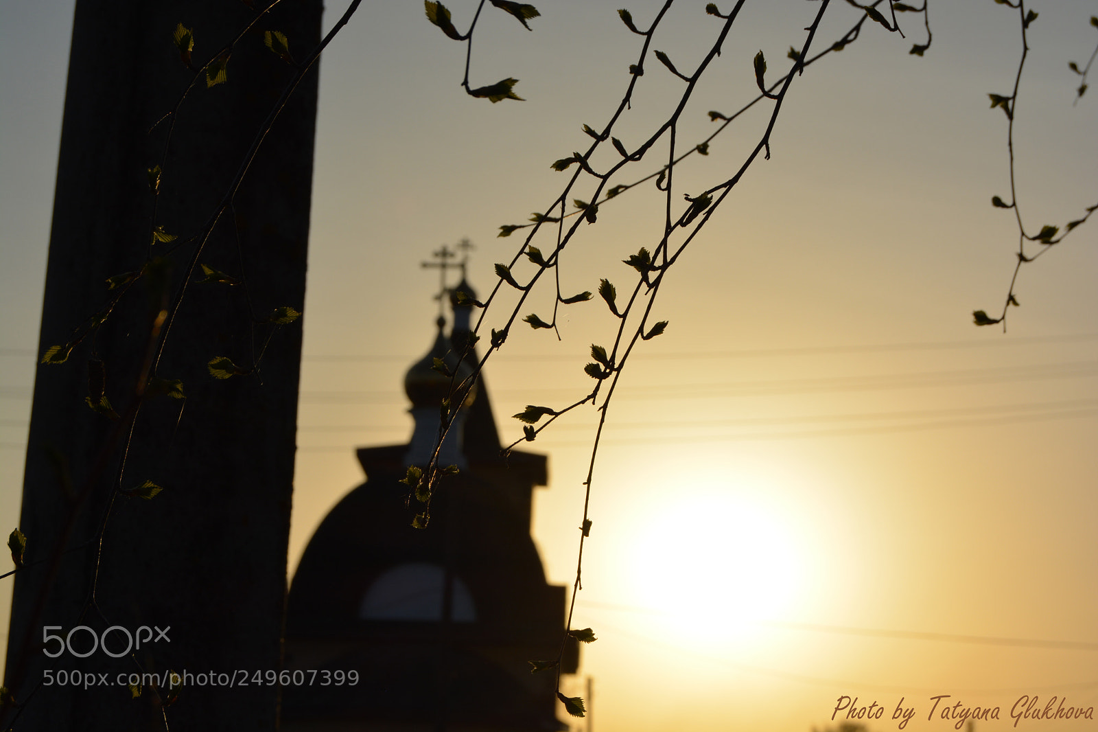 Nikon D5200 sample photo. Untitled photography