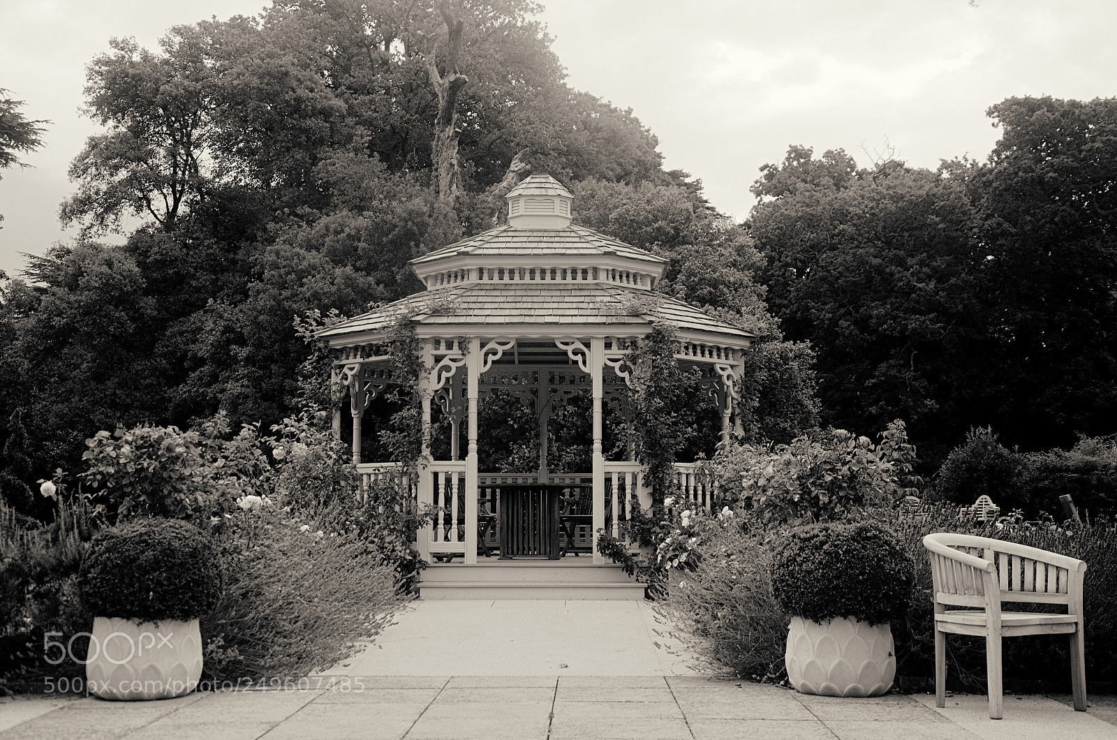 Nikon D7000 sample photo. Albert's cottage arbour photography