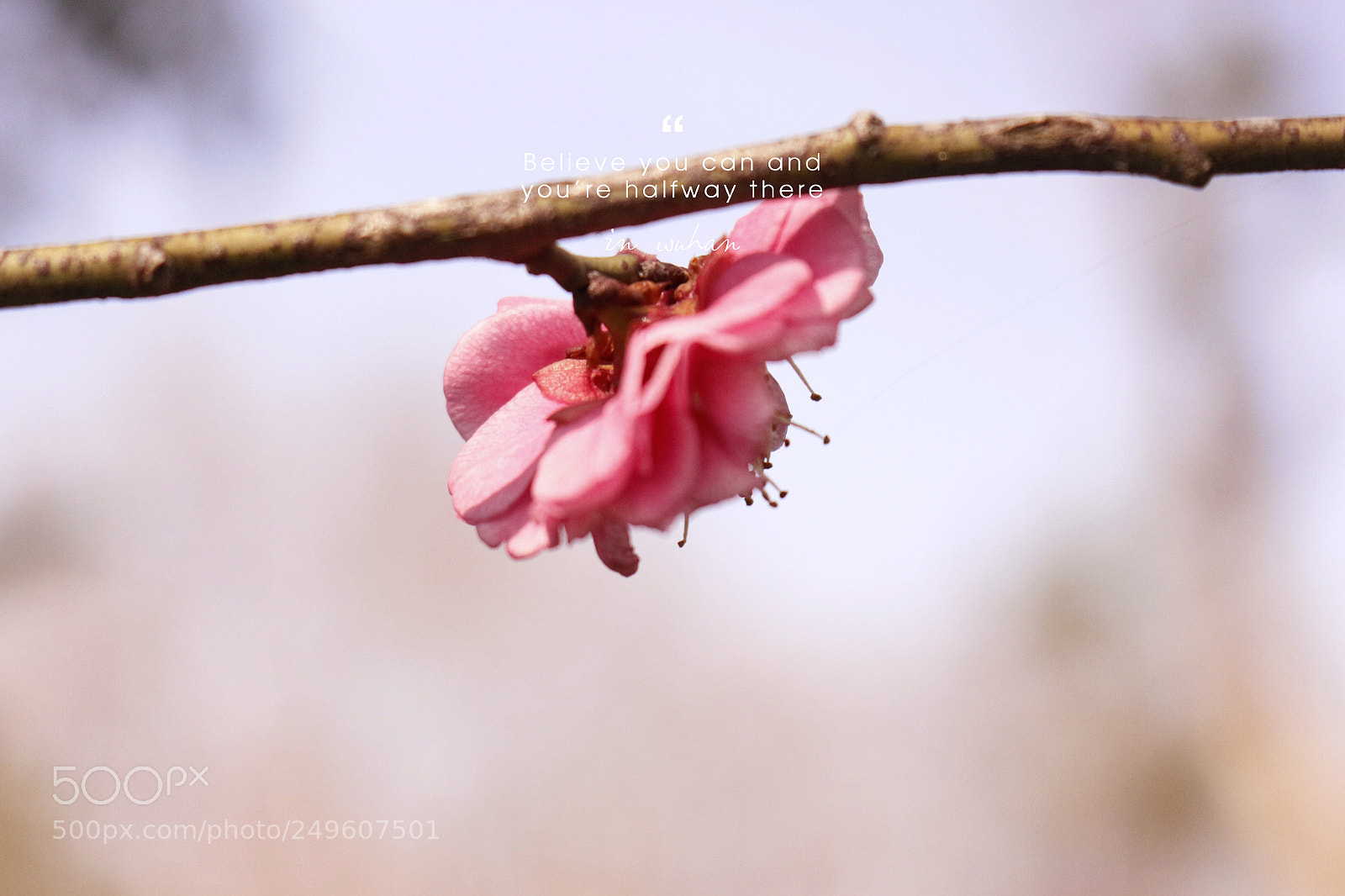 Canon EOS 700D (EOS Rebel T5i / EOS Kiss X7i) sample photo. Untitled photography