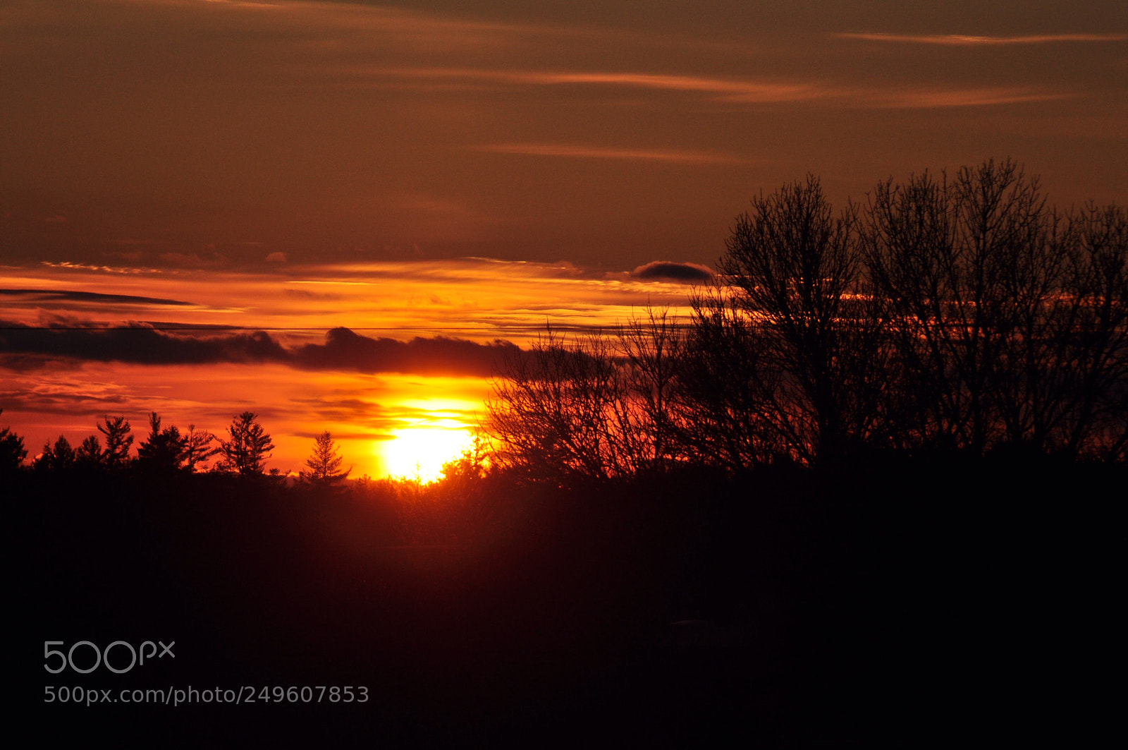 Nikon D5000 sample photo. Untitled photography
