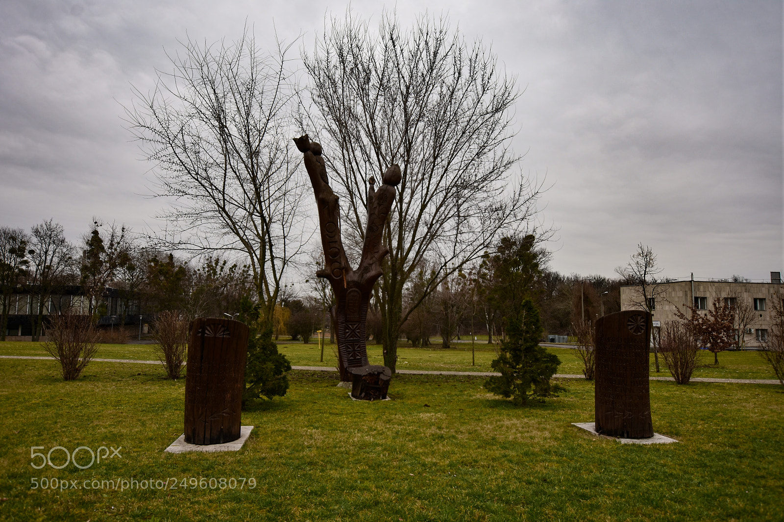 Nikon D7200 sample photo. Untitled photography